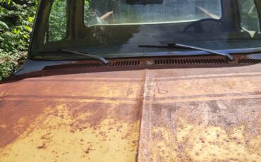Ford-F-100-1975-7
