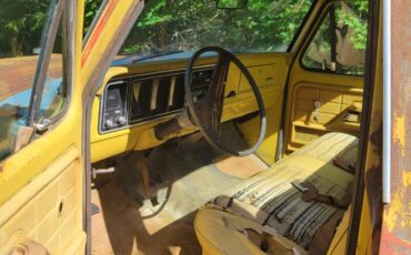 Ford-F-100-1975-9