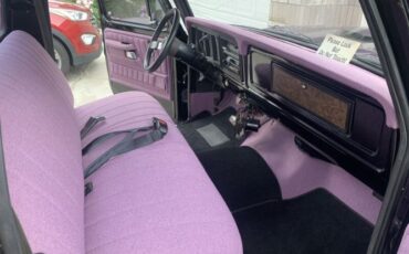 Ford-F-100-1978-Purple-Custom-Purple-Tweed-1