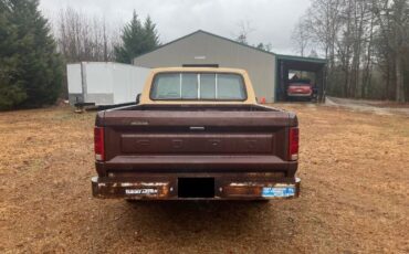 Ford-F-100-1982-Brown-10