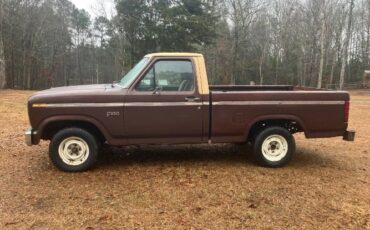 Ford-F-100-1982-Brown-11