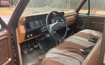 Ford-F-100-1982-Brown-13