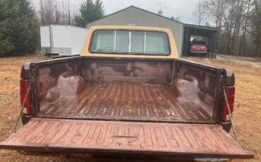 Ford-F-100-1982-Brown-16
