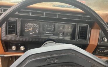 Ford-F-100-1982-Brown-2