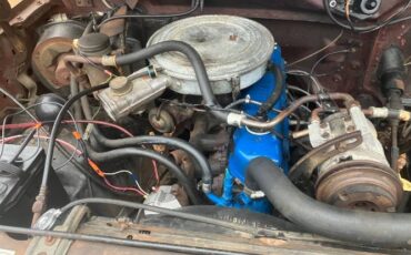Ford-F-100-1982-Brown-3