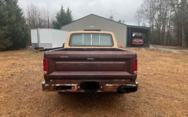 Ford-F-100-1982-Brown