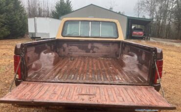 Ford-F-100-1982-Brown-6