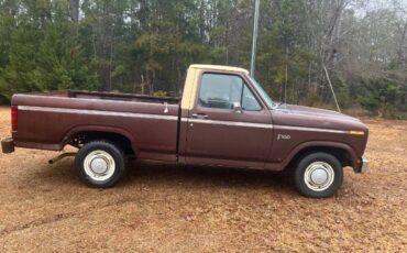 Ford-F-100-1982-Brown-8