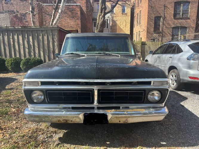 Ford-F-150-1976-Black-2