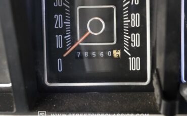 Ford-F-150-1976-Light-Blue-Blue-4