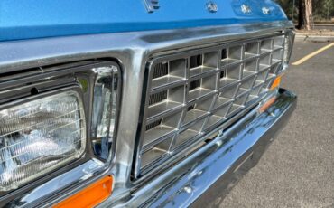 Ford-F-150-1978-Standard-Cab-Pickup-7