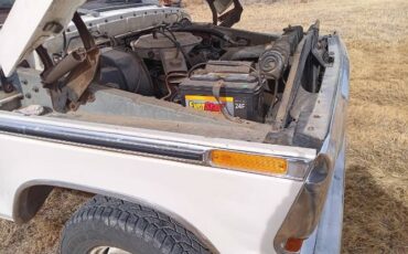 Ford-F-150-1978-White-10