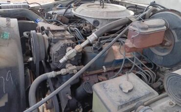 Ford-F-150-1978-White-6