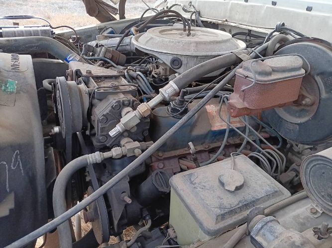 Ford-F-150-1978-White-6