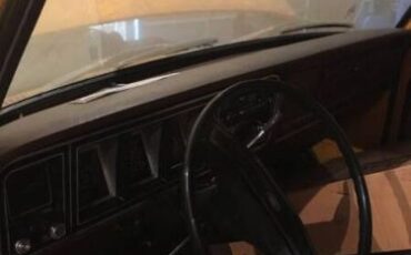 Ford-F-150-1978-Yellow-TanBrown-14