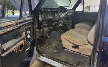 Ford-F-150-1980-Blue-4