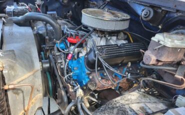 Ford-F-150-1980-Blue-5