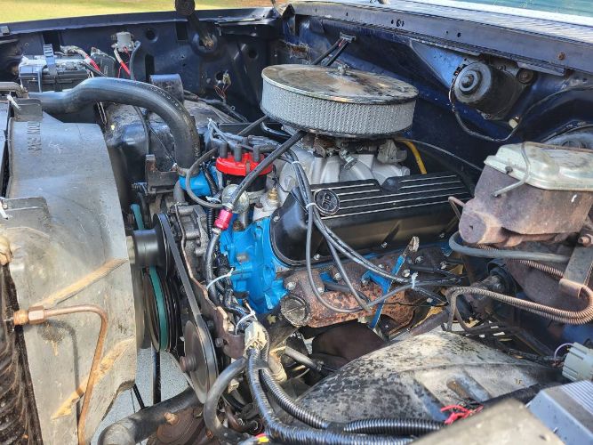 Ford-F-150-1980-Blue-5