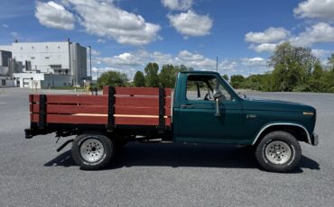 Ford-F-150-1986-4