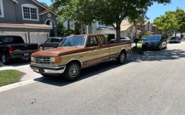 Ford-F-150-1987-Brown