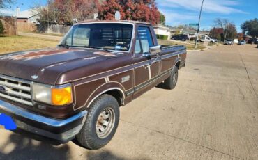 Ford-F-150-1988-Brown-Tan-1