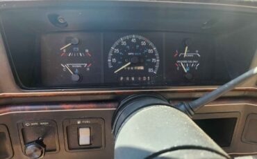 Ford-F-150-1988-Brown-Tan-2