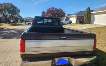 Ford-F-150-1988-Brown-Tan-3