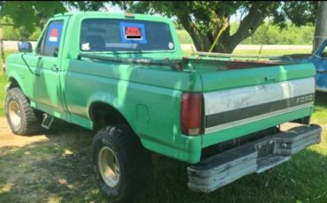 Ford-F-150-1992-Green-3