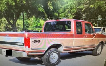 Ford-F-150-1994-Custom-1