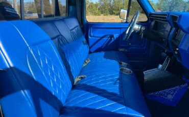Ford-F-250-1983-Standard-Cab-Pickup-19