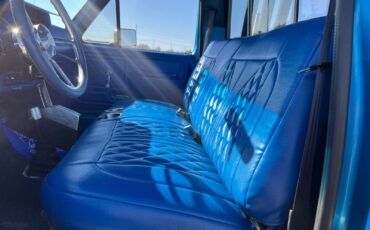 Ford-F-250-1983-Standard-Cab-Pickup-8