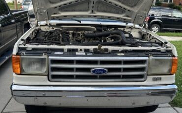 Ford-F-250-1989-Standard-Cab-Pickup-18