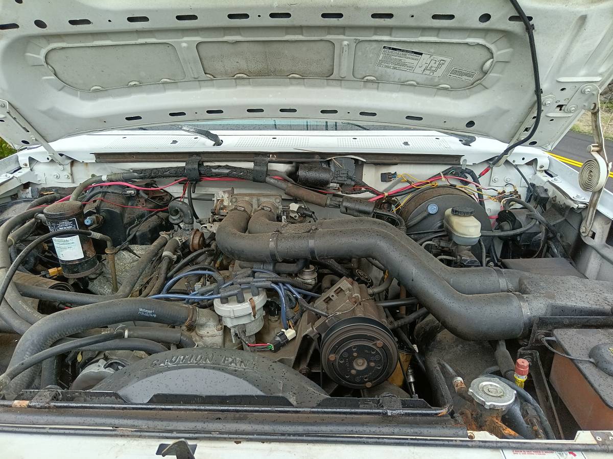 Ford-F-250-1992-white-6