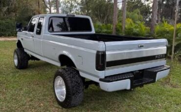 Ford-F-250-1995-Gray-7