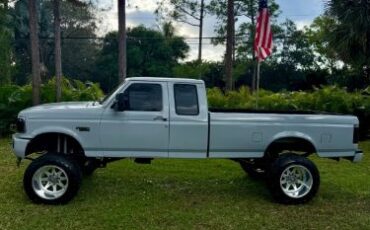 Ford-F-250-1995-Gray-8