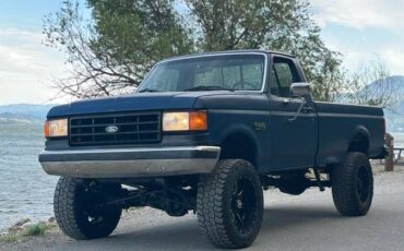 Ford-F-250-diesel-1988-blue-3