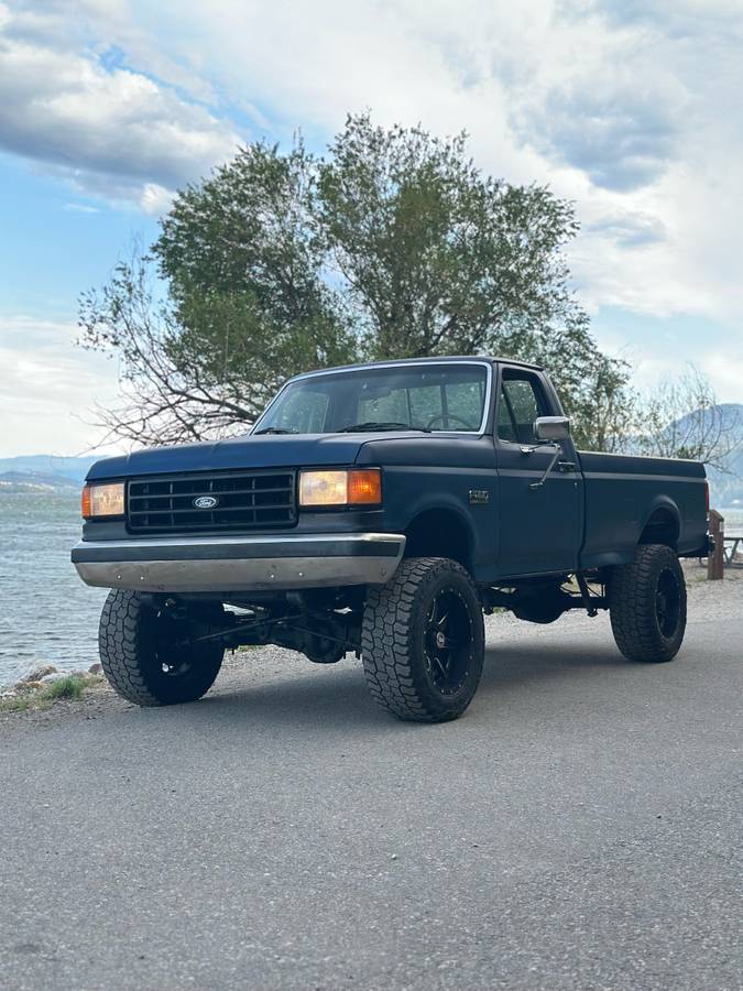 Ford-F-250-diesel-1988-blue-3