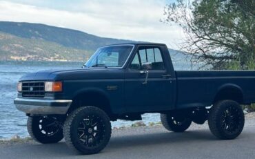 Ford-F-250-diesel-1988-blue