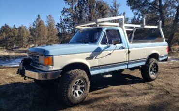 Ford-F-350-1987-Blue-9