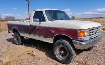 Ford-F-350-1988-Custom-4