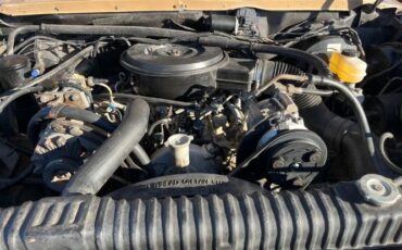 Ford-F-350-1988-Tan-Red-3