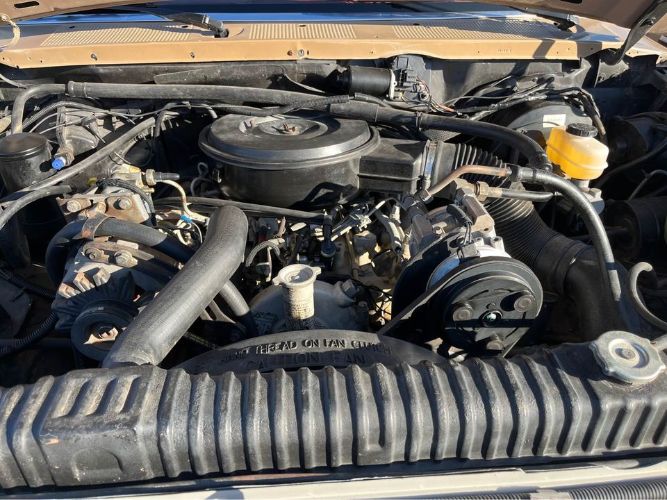 Ford-F-350-1988-Tan-Red-3
