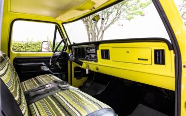 Ford-F100-1973-Lime-yellow-Yellow-black-2