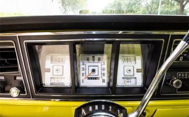 Ford-F100-1973-Lime-yellow-Yellow-black