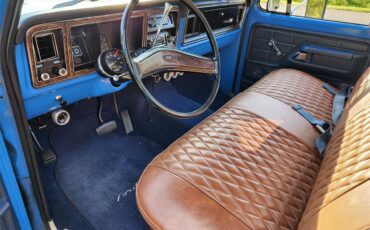 Ford-F100-1974-Blue-Brown-1