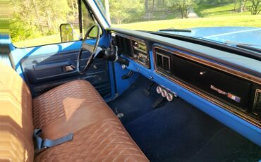 Ford-F100-1974-Blue-Brown-2