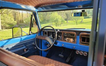 Ford-F100-1974-Blue-Brown-4