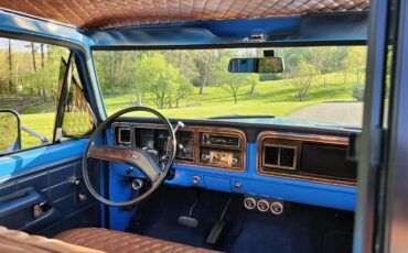 Ford-F100-1974-Blue-Brown-5