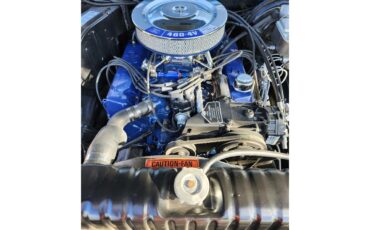 Ford-F100-1974-Blue-Brown-6