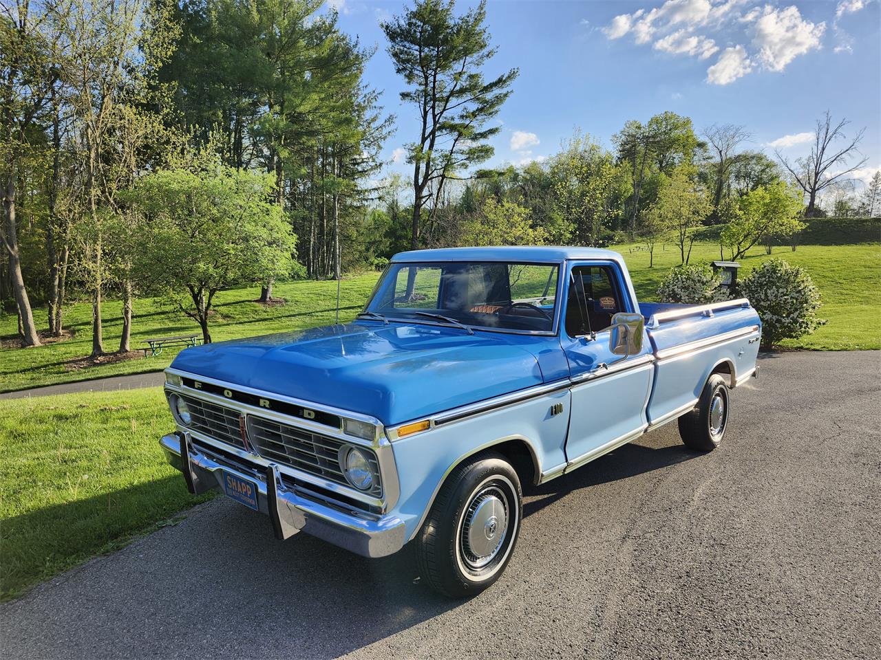 Ford-F100-1974-Blue-Brown-7